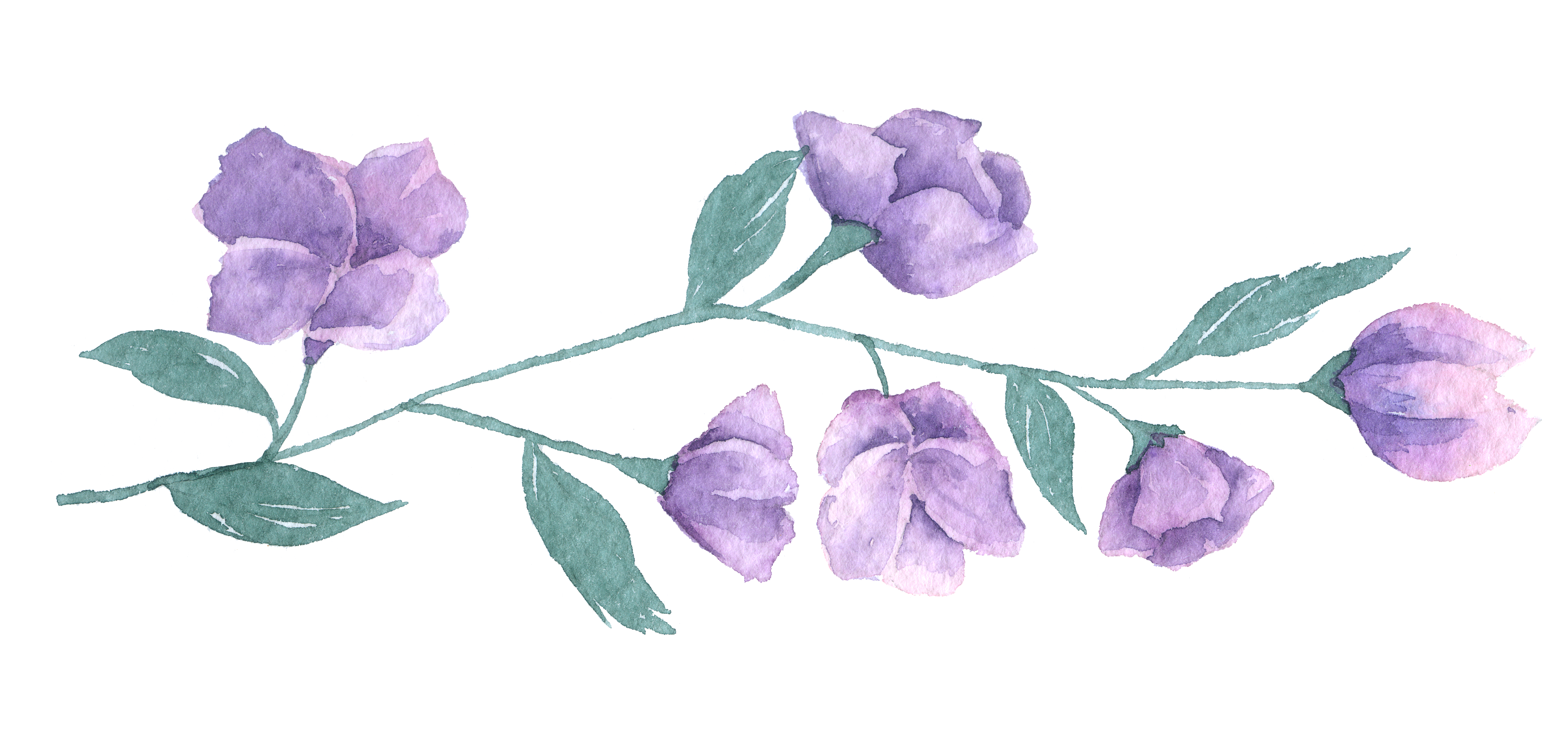 flower separating projects